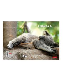 Bilježnica obrazac 2 pisanka A za 1. razred Animal