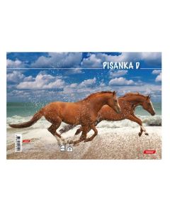 Bilježnica obrazac 5 pisanka D za 3. i 4. razred Animal