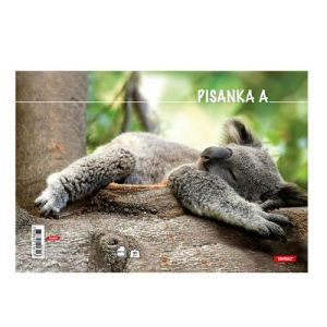 Bilježnica obrazac 2 pisanka A za 1. razred Animal