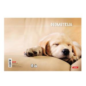 Bilježnica obrazac 7 geometrijska Animal