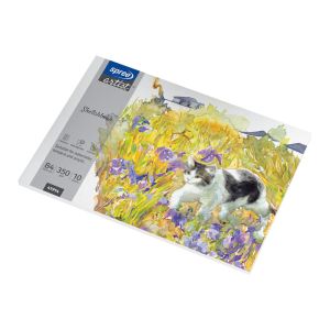 Blok za skiciranje; B4 350 grama,10 listova, Spree