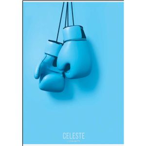 Bilježnica A5 40 listova karo 80g C-16 K